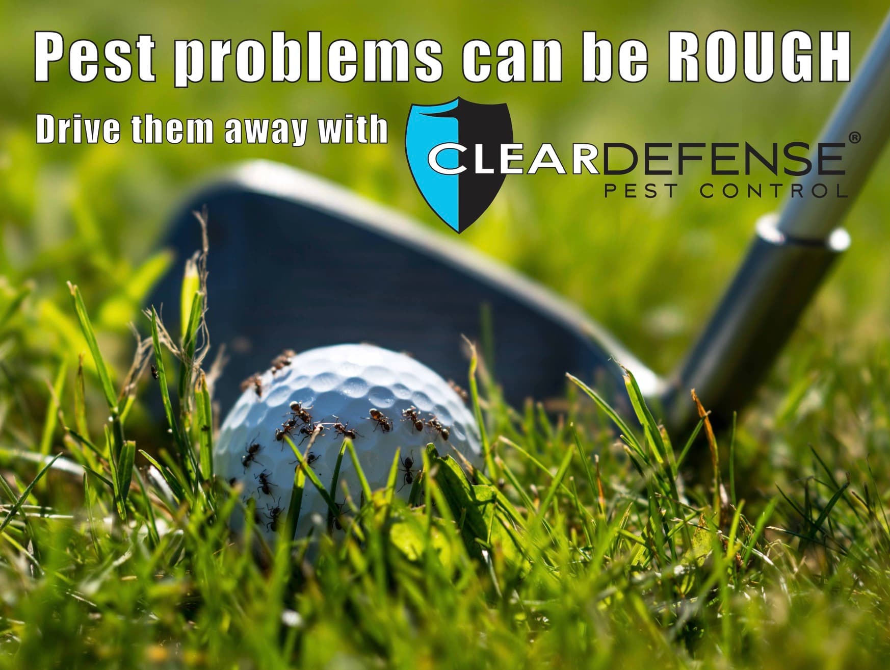 Clear Defense